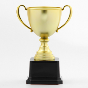Picture for category Trophies