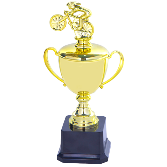 Picture of 11" Trophy Award